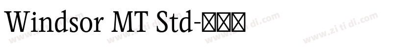Windsor MT Std字体转换